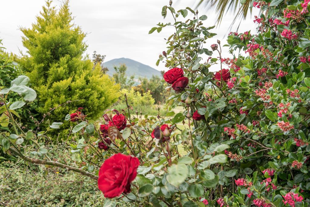 Restmore B&B Anascaul Εξωτερικό φωτογραφία