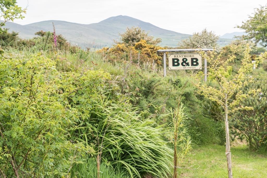 Restmore B&B Anascaul Εξωτερικό φωτογραφία